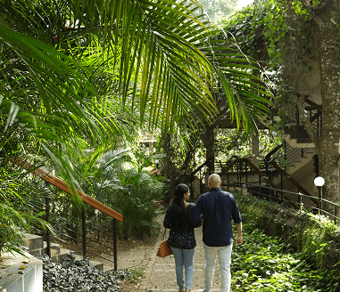 Nature Walk