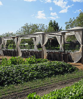 Farm-to-table partnerships