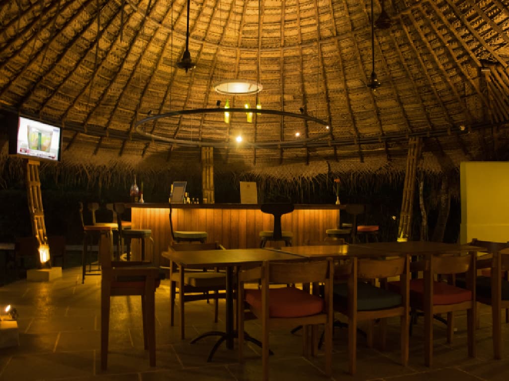 Bonfire Area