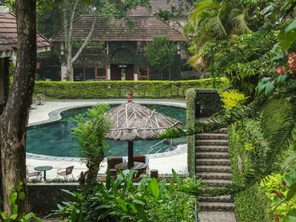 Swimming Pool image 3