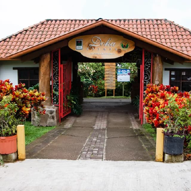 Doka: Coffee Tour