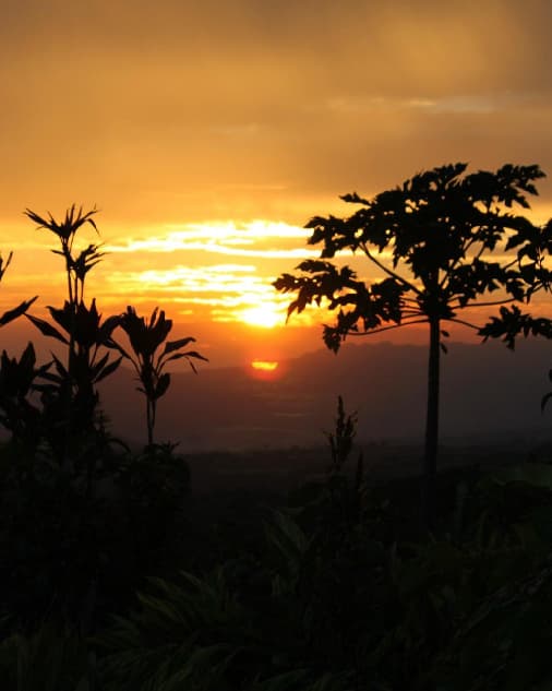A Piece of Paradise in Tacacori, Costa Rica