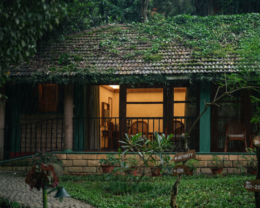 Thekkady - India