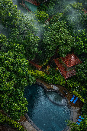 Conservation 2